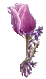 gul.gif (2425 bytes)